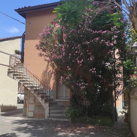 شقة Borghetto 36 بولونيا المظهر الخارجي الصورة